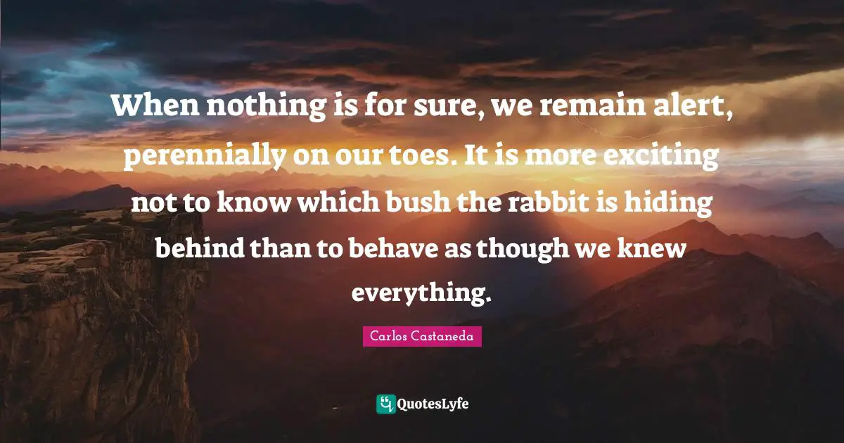 When nothing is for sure, we remain alert, perennially on our toes. It is more exciting not to know which bush the rabbit is hiding behind than to behave as though we knew everything.