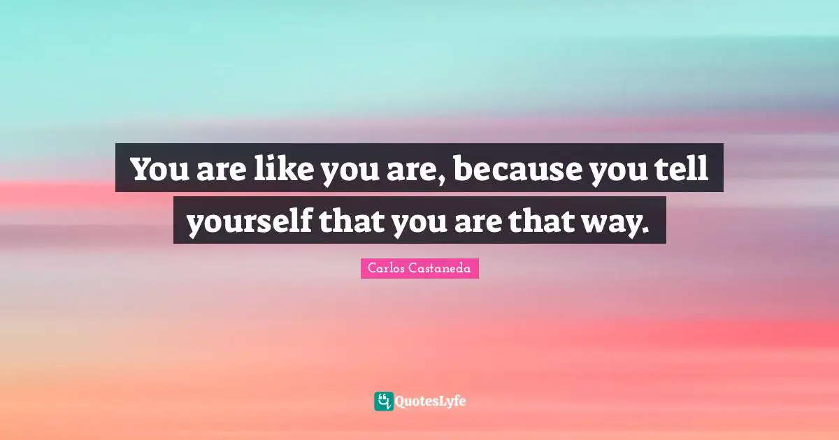 I Like You Quotes: "You are like you are, because you tell yourself that you are that way."