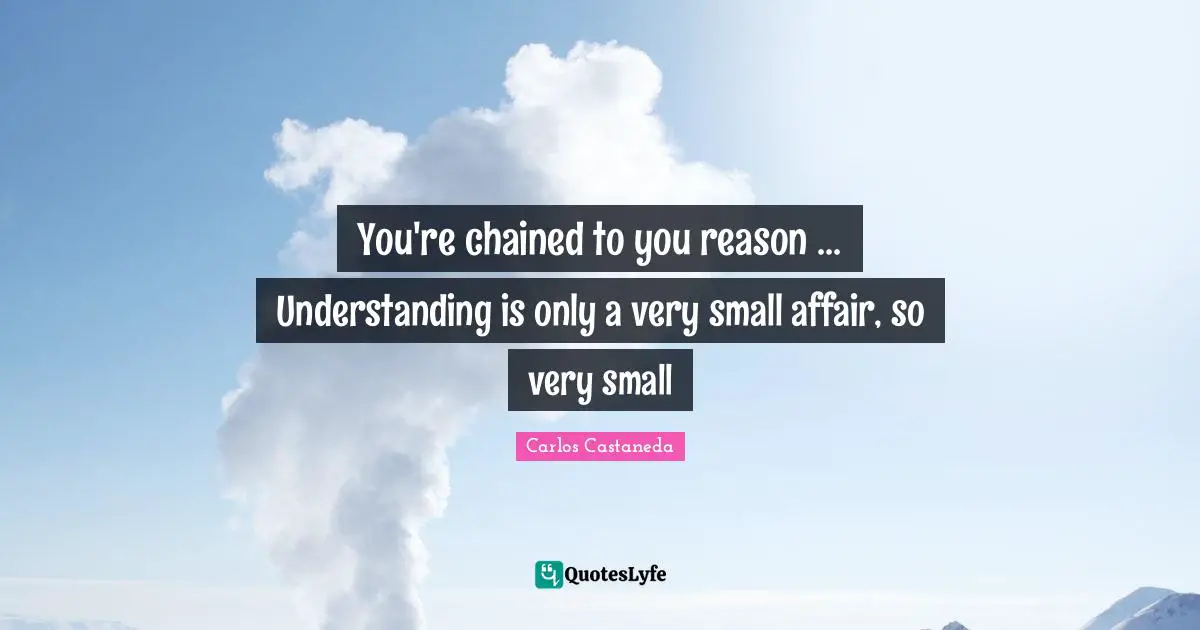 You're chained to you reason ... Understanding is only a very small affair, so very small
