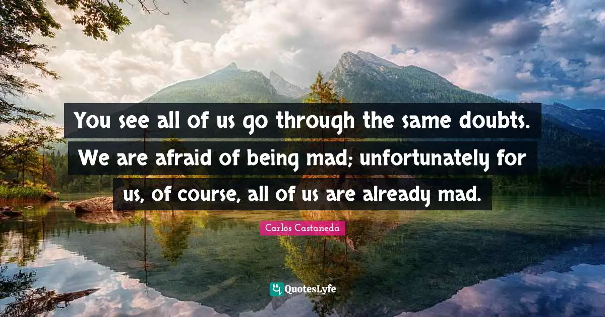 You see all of us go through the same doubts. We are afraid of being mad; unfortunately for us, of course, all of us are already mad.