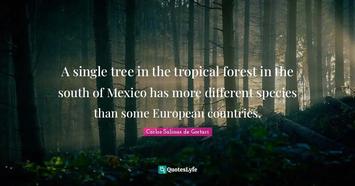 Carlos Salinas Quotes: "A single tree in the tropical forest in the south of Mexico has more different species than some European countries."