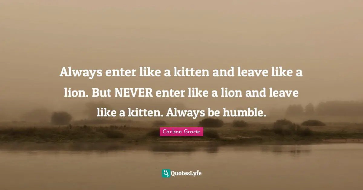 Always enter like a kitten and leave like a lion. But NEVER enter like a lion and leave like a kitten. Always be humble.