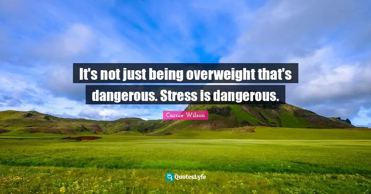 It's not just being overweight that's dangerous. Stress is dangerous.