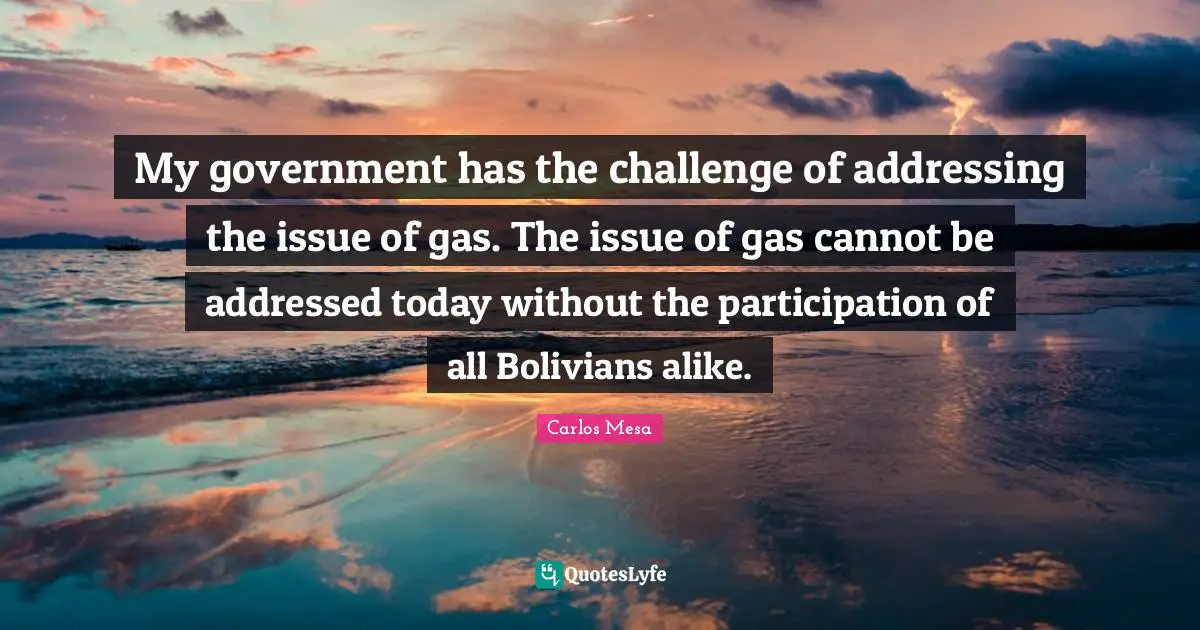 My government has the challenge of addressing the issue of gas. The issue of gas cannot be addressed today without the participation of all Bolivians alike.