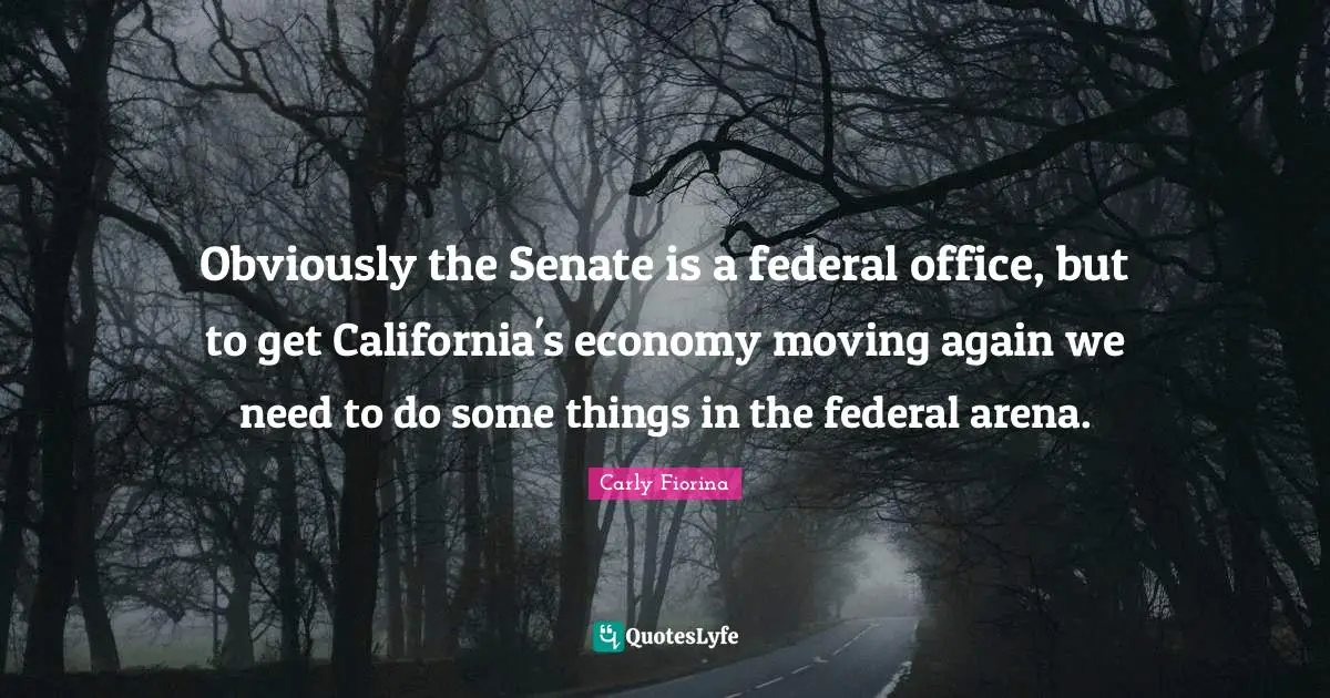 Obviously the Senate is a federal office, but to get California's economy moving again we need to do some things in the federal arena.
