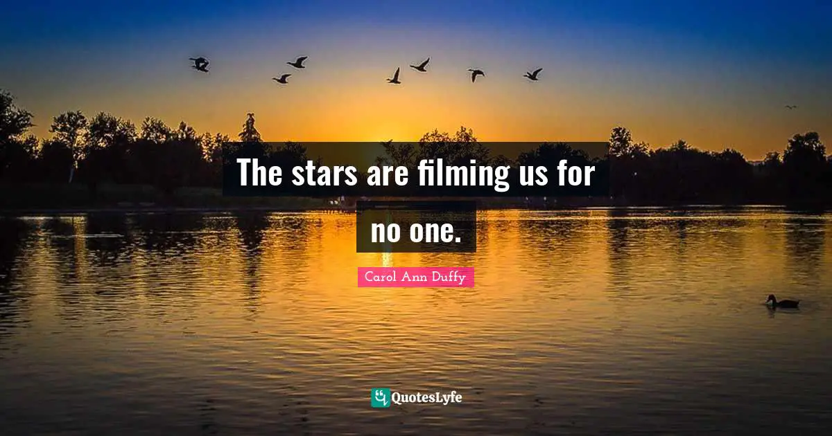 The stars are filming us for no one.