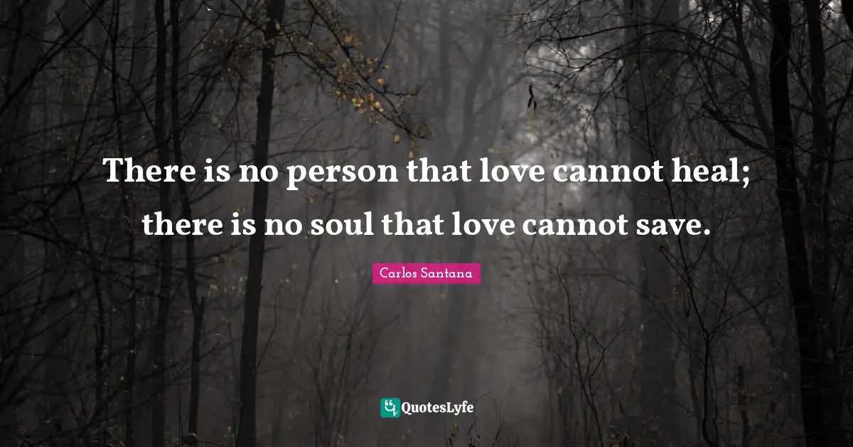 There is no person that love cannot heal; there is no soul that love cannot save.