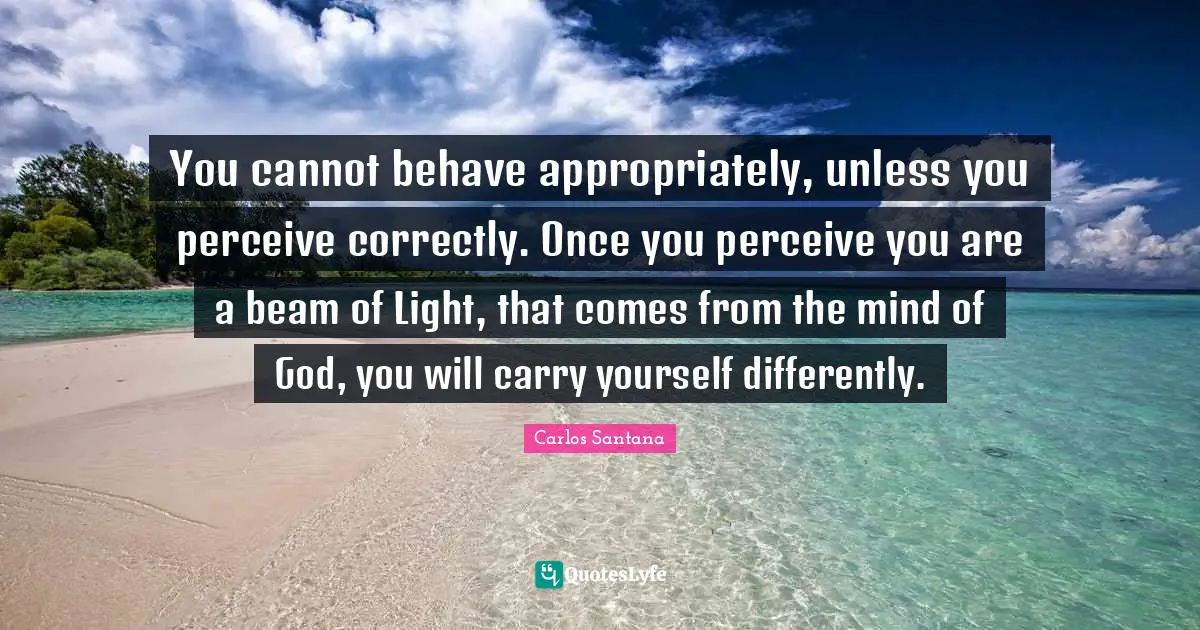 You cannot behave appropriately, unless you perceive correctly. Once you perceive you are a beam of Light, that comes from the mind of God, you will carry yourself differently.