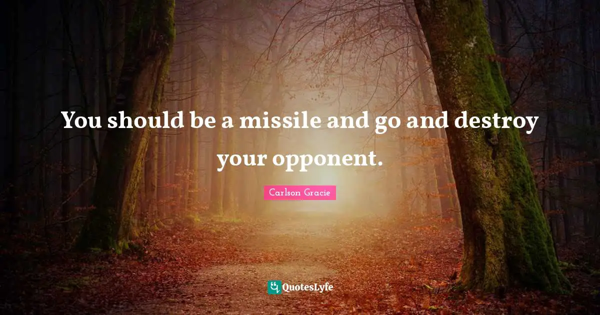You should be a missile and go and destroy your opponent.