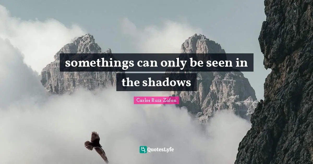 Carlos Ruiz Zafon Quotes: "somethings can only be seen in the shadows"