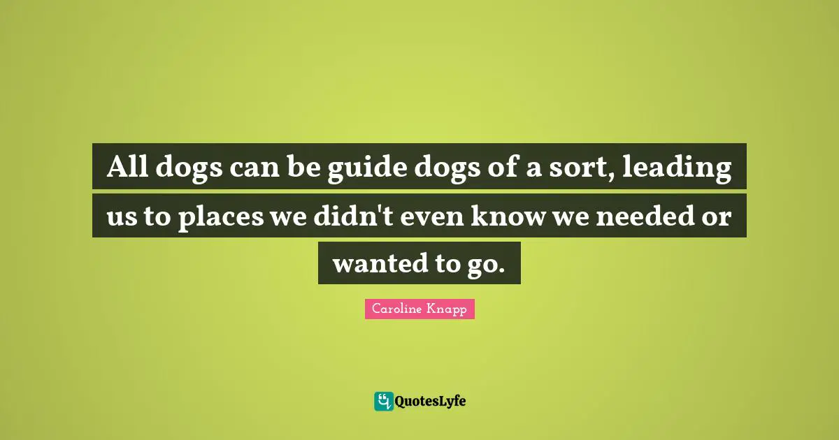 All dogs can be guide dogs of a sort, leading us to places we didn't even know we needed or wanted to go.