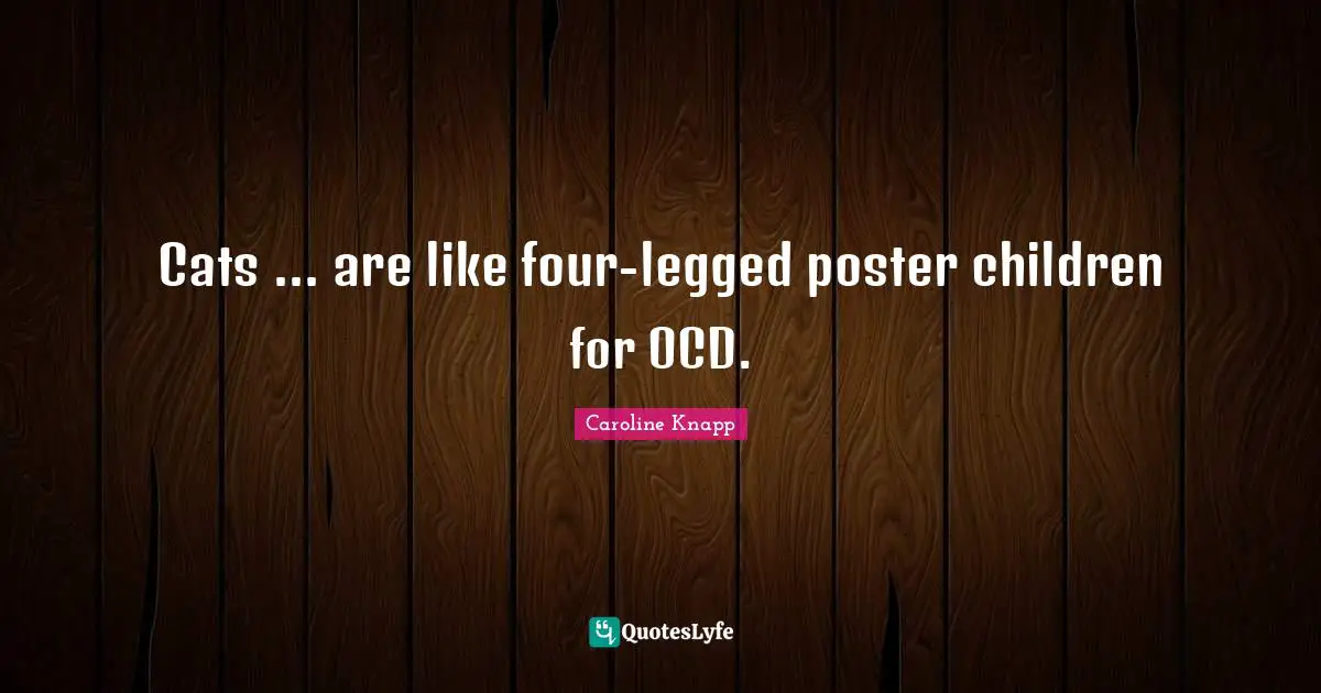 Cats ... are like four-legged poster children for OCD.