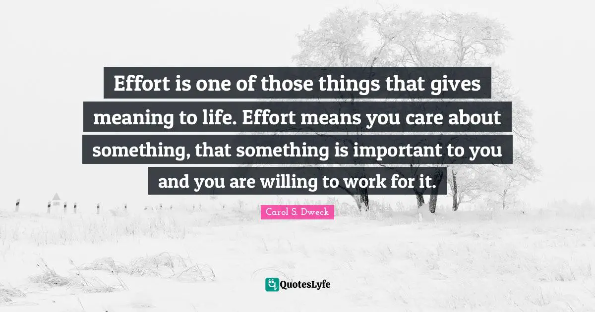 Willing Quotes: "Effort is one of those things that gives meaning to life. Effort means you care about something, that something is important to you and you are willing to work for it."