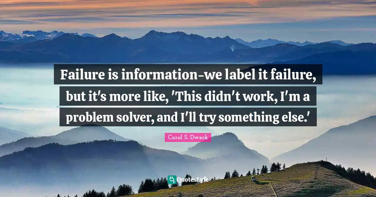 Failure is information-we label it failure, but it's more like, 'This didn't work, I'm a problem solver, and I'll try something else.'