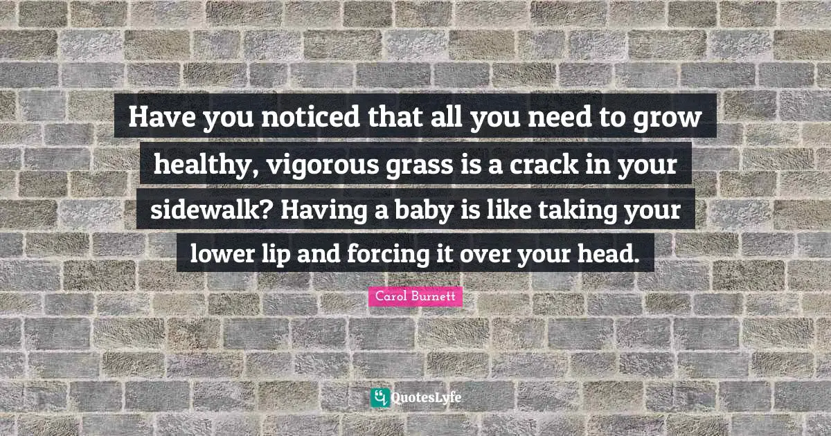 Having A Baby Quotes: "Have you noticed that all you need to grow healthy, vigorous grass is a crack in your sidewalk? Having a baby is like taking your lower lip and forcing it over your head."