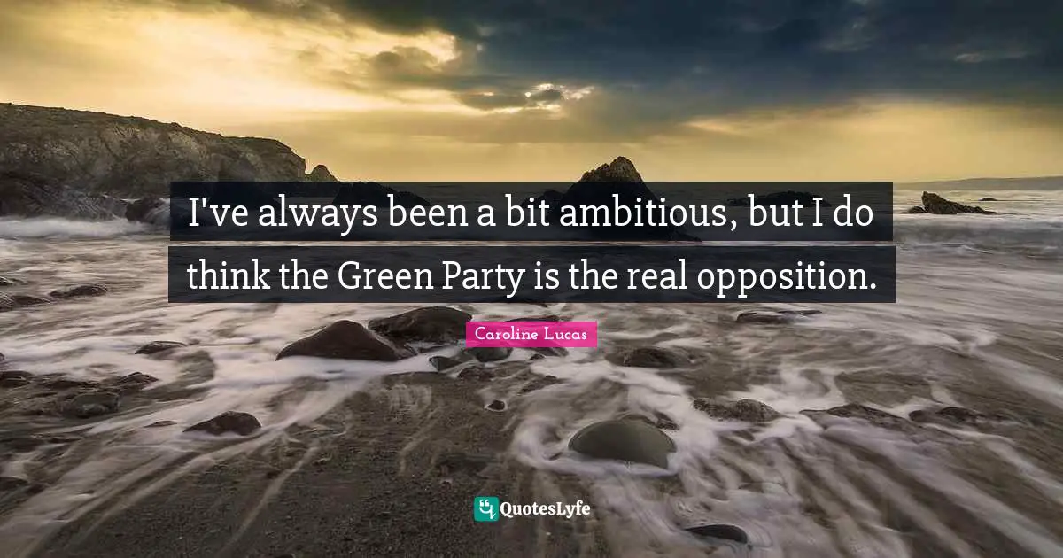I've always been a bit ambitious, but I do think the Green Party is the real opposition.