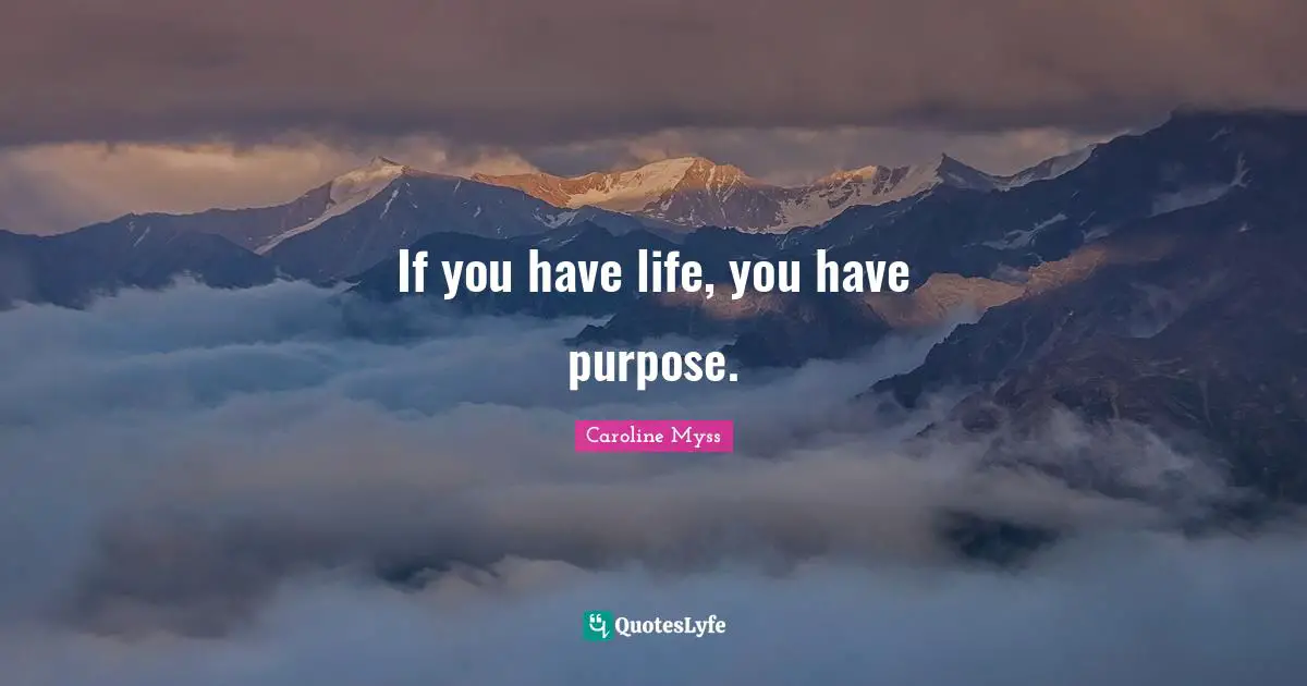 If you have life, you have purpose.
