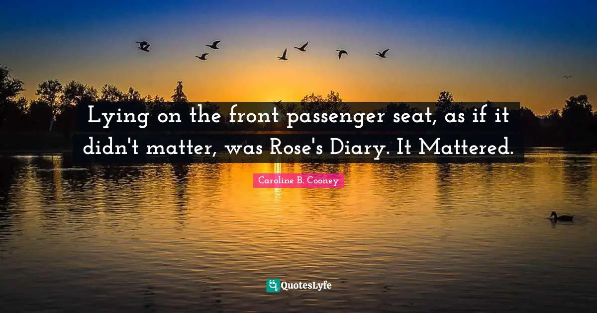 Lying on the front passenger seat, as if it didn't matter, was Rose's Diary. It Mattered.
