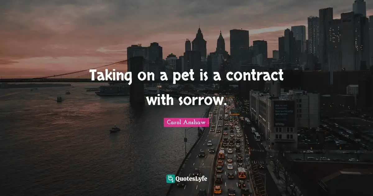 Taking on a pet is a contract with sorrow.