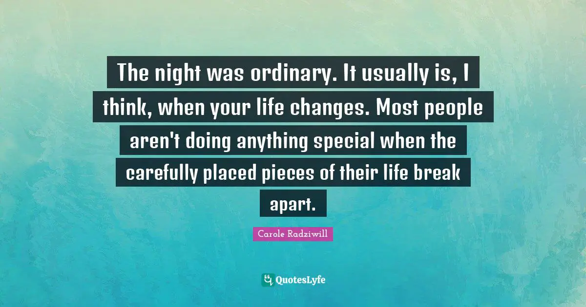 The night was ordinary. It usually is, I think, when your life changes. Most people aren't doing anything special when the carefully placed pieces of their life break apart.