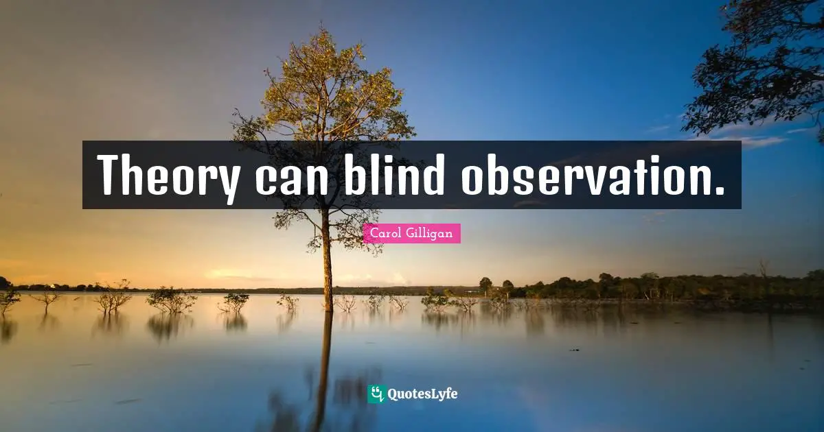 Theory can blind observation.