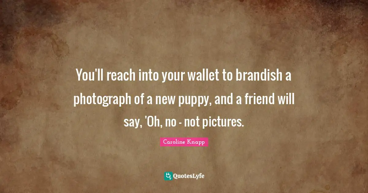 You'll reach into your wallet to brandish a photograph of a new puppy, and a friend will say, 'Oh, no - not pictures.