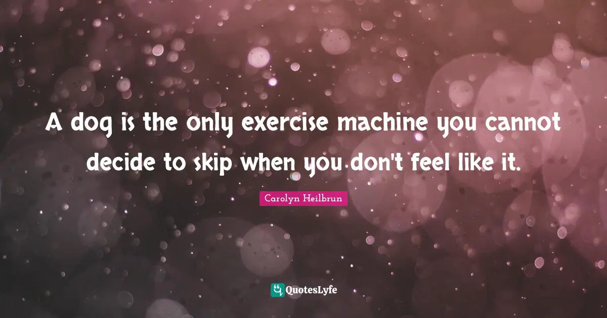 A dog is the only exercise machine you cannot decide to skip when you don't feel like it.