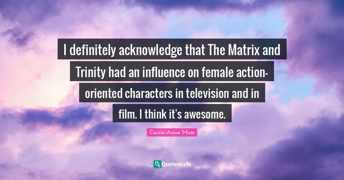 I definitely acknowledge that The Matrix and Trinity had an influence on female action-oriented characters in television and in film. I think it's awesome.