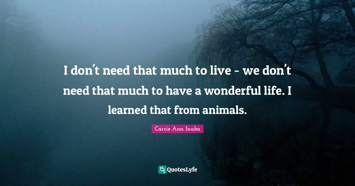 I don't need that much to live - we don't need that much to have a wonderful life. I learned that from animals.