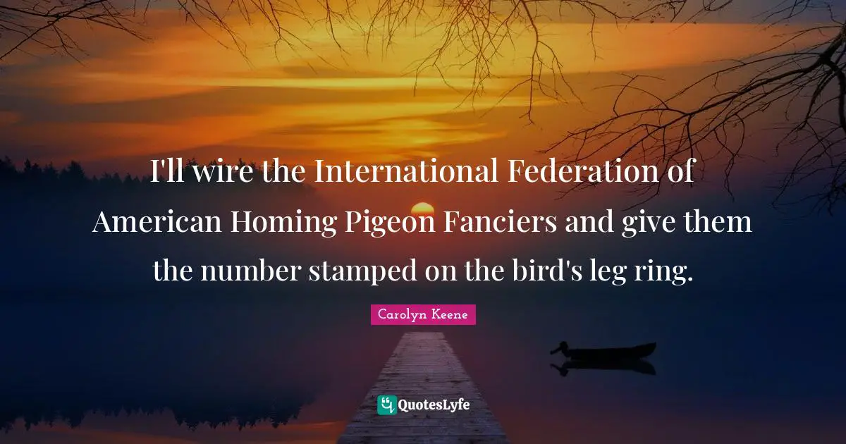 I'll wire the International Federation of American Homing Pigeon Fanciers and give them the number stamped on the bird's leg ring.