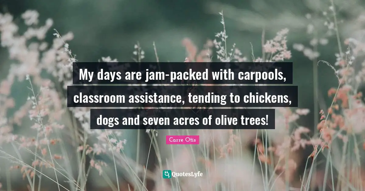 My days are jam-packed with carpools, classroom assistance, tending to chickens, dogs and seven acres of olive trees!
