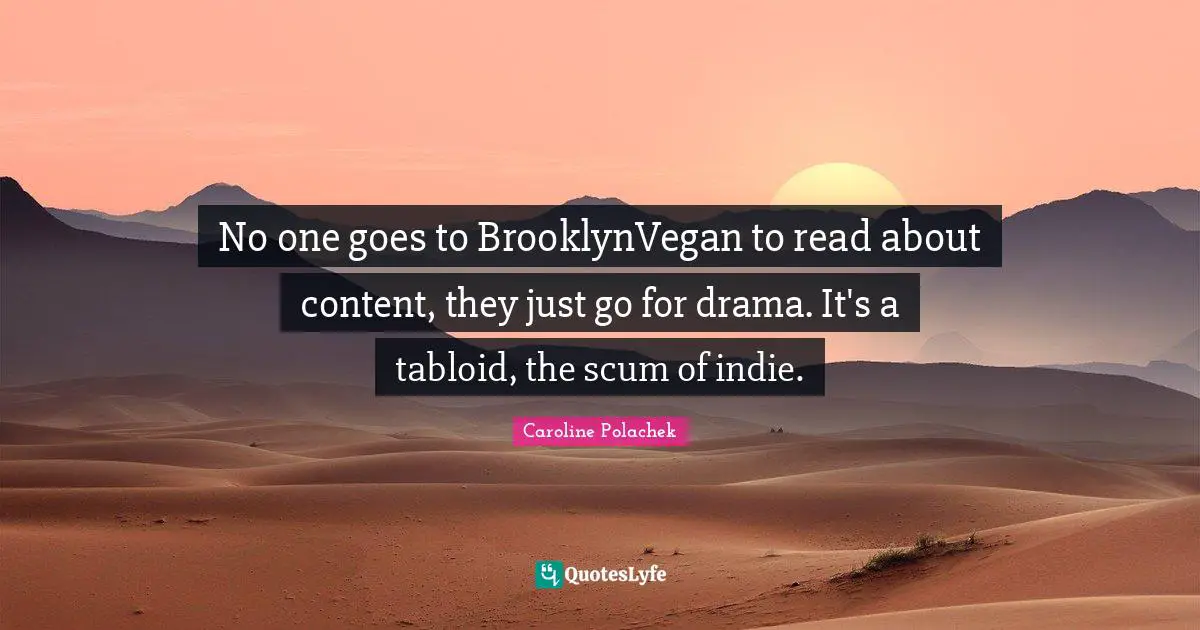 No one goes to BrooklynVegan to read about content, they just go for drama. It's a tabloid, the scum of indie.