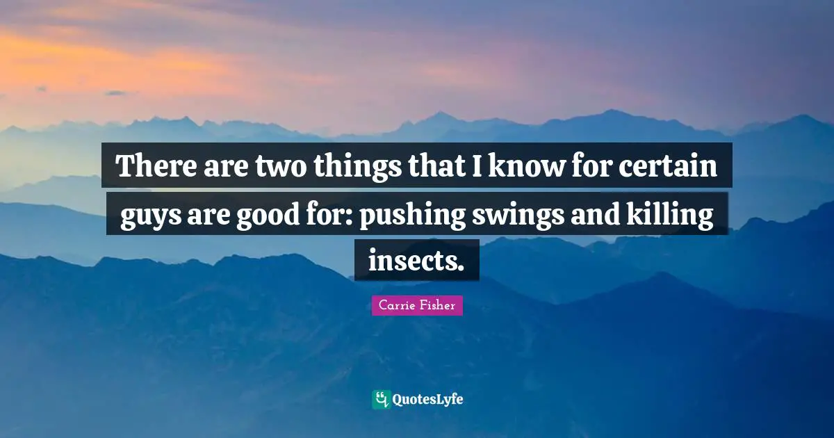There are two things that I know for certain guys are good for: pushing swings and killing insects.