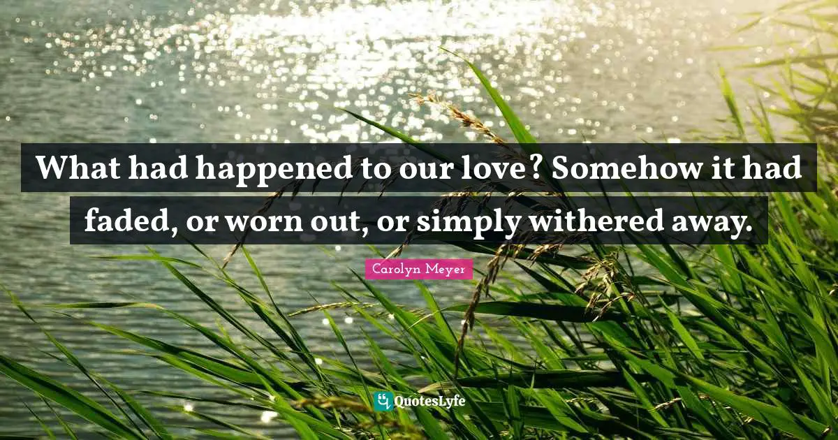 What had happened to our love? Somehow it had faded, or worn out, or simply withered away.