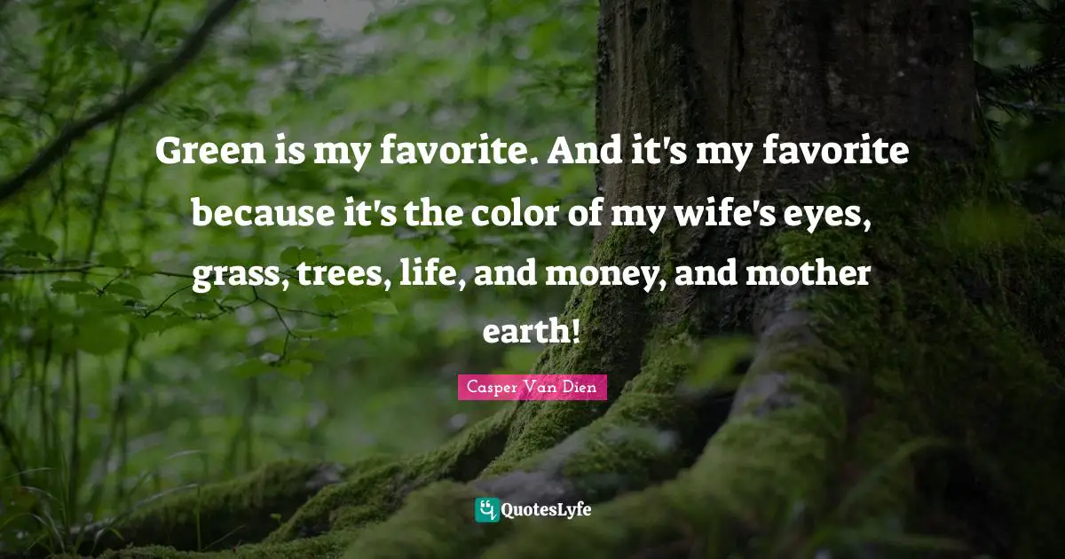 Green is my favorite. And it's my favorite because it's the color of my wife's eyes, grass, trees, life, and money, and mother earth!
