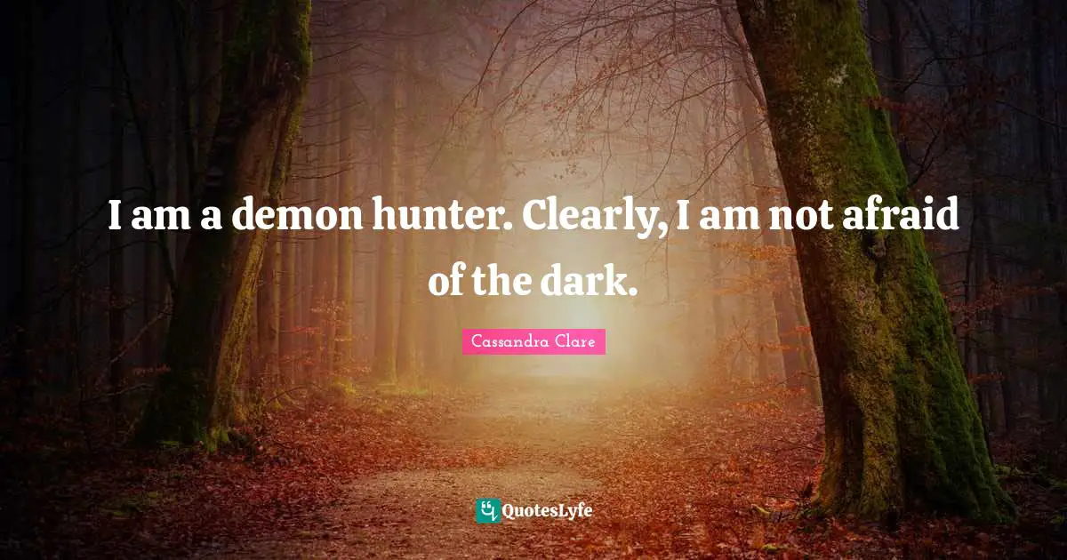 I am a demon hunter. Clearly, I am not afraid of the dark.