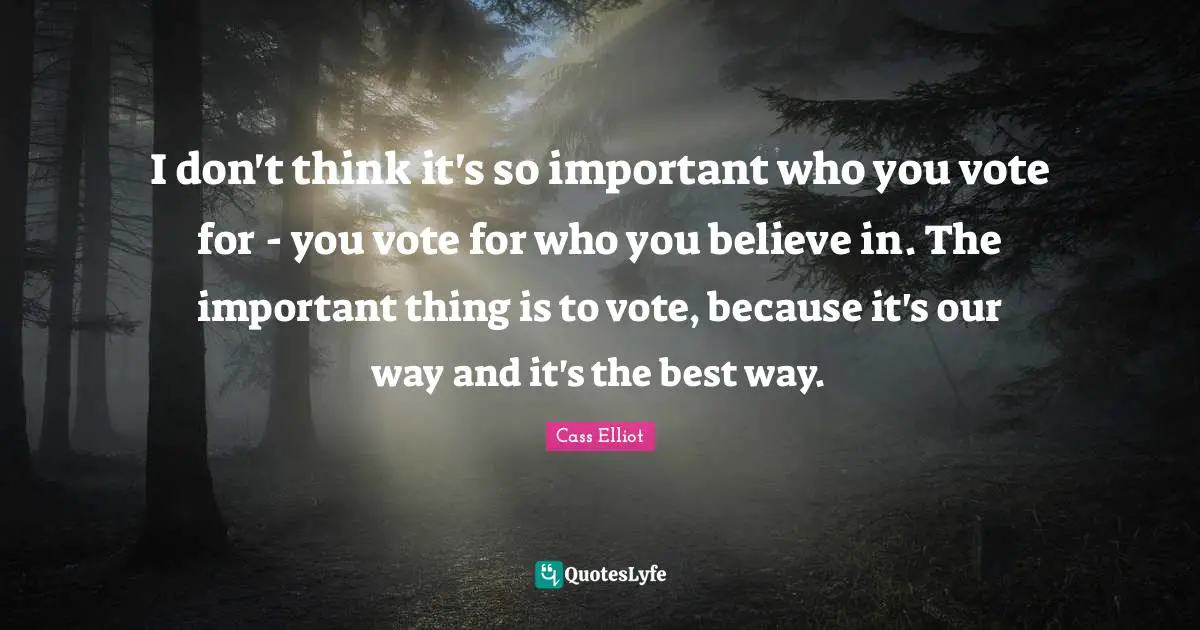 I don't think it's so important who you vote for - you vote for who you believe in. The important thing is to vote, because it's our way and it's the best way.