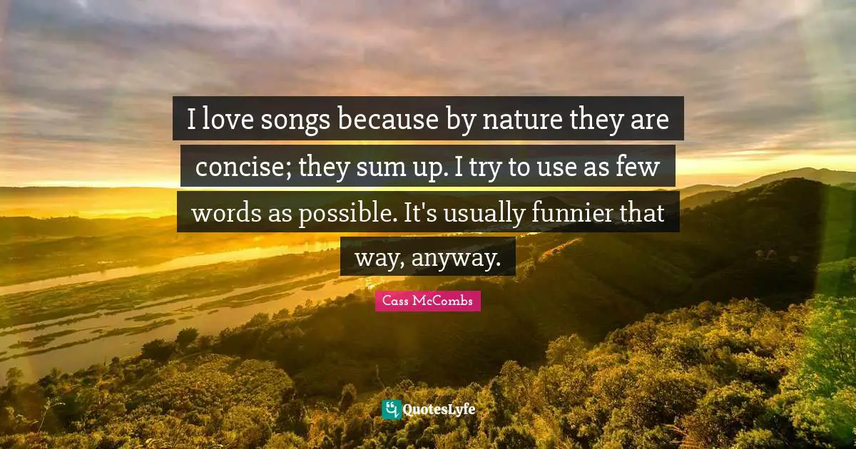 I love songs because by nature they are concise; they sum up. I try to use as few words as possible. It's usually funnier that way, anyway.