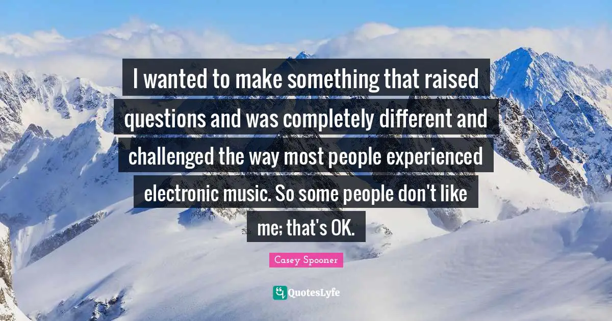 I wanted to make something that raised questions and was completely different and challenged the way most people experienced electronic music. So some people don't like me; that's OK.