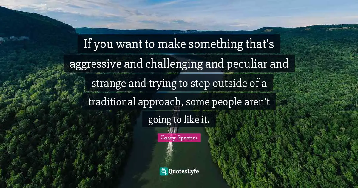 If you want to make something that's aggressive and challenging and peculiar and strange and trying to step outside of a traditional approach, some people aren't going to like it.