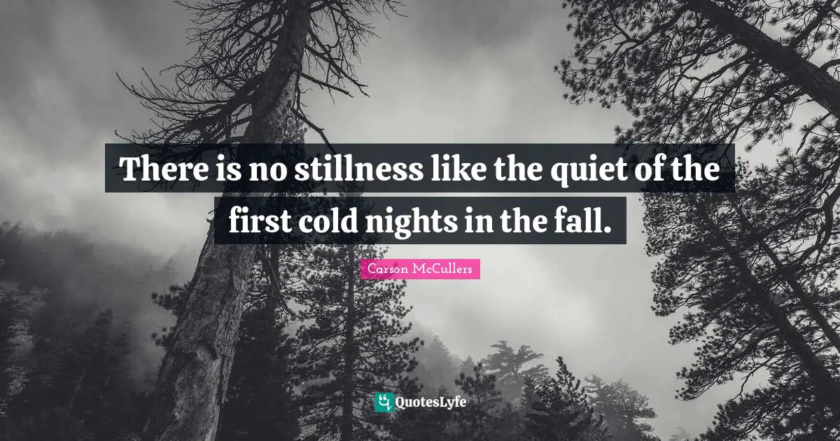 There is no stillness like the quiet of the first cold nights in the fall.