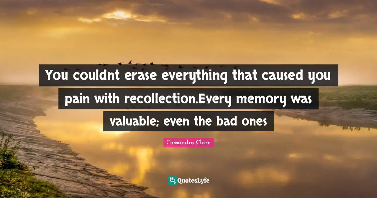 Cassandra Clare Quotes: "You couldnt erase everything that caused you pain with recollection.Every memory was valuable; even the bad ones"