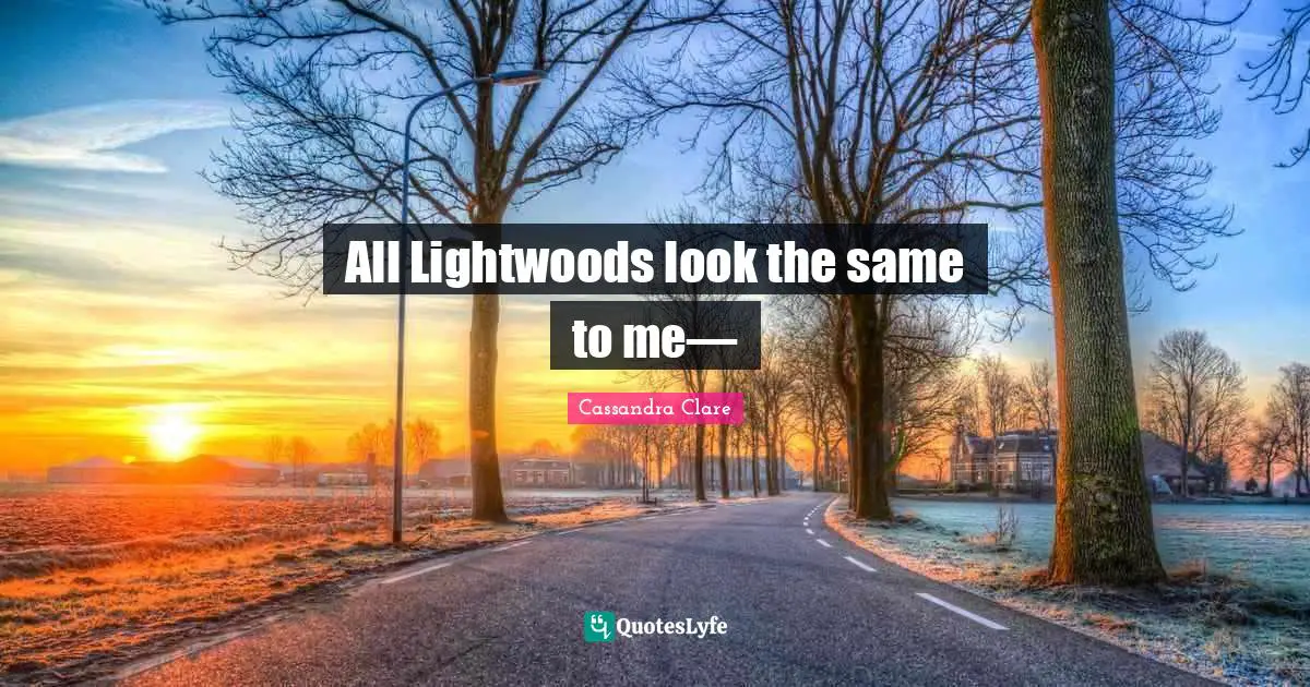 All Lightwoods look the same to me—