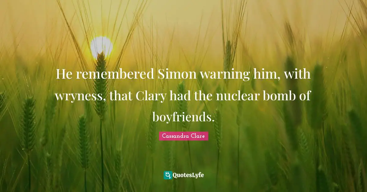He remembered Simon warning him, with wryness, that Clary had the nuclear bomb of boyfriends.