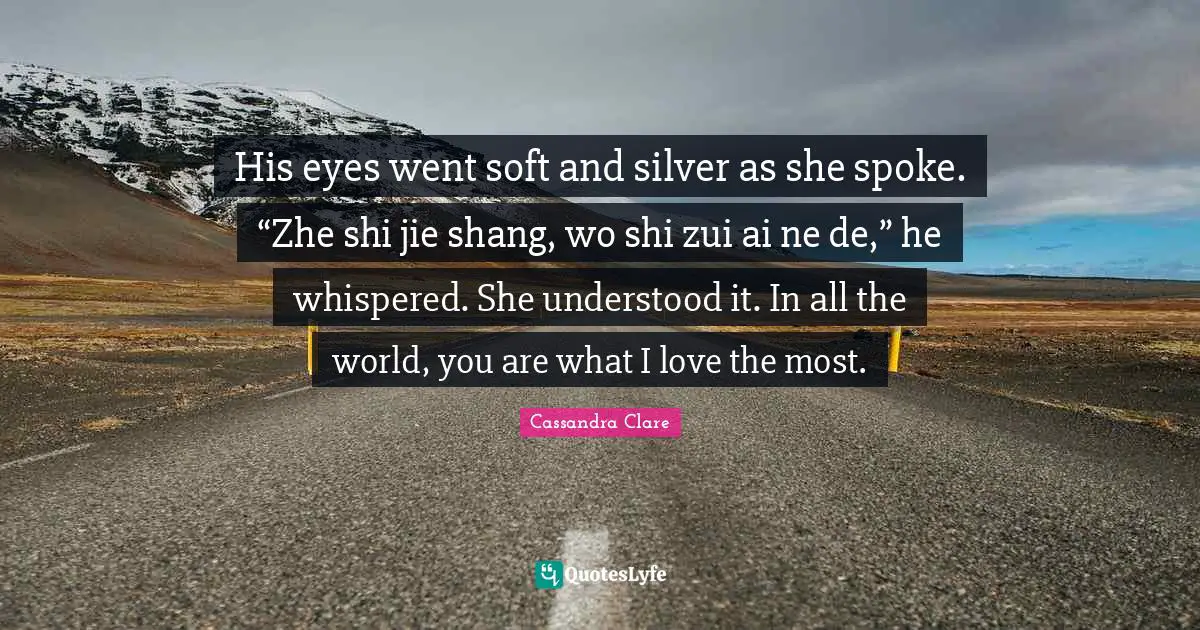 His eyes went soft and silver as she spoke. “Zhe shi jie shang, wo shi zui ai ne de,” he whispered. She understood it. In all the world, you are what I love the most.