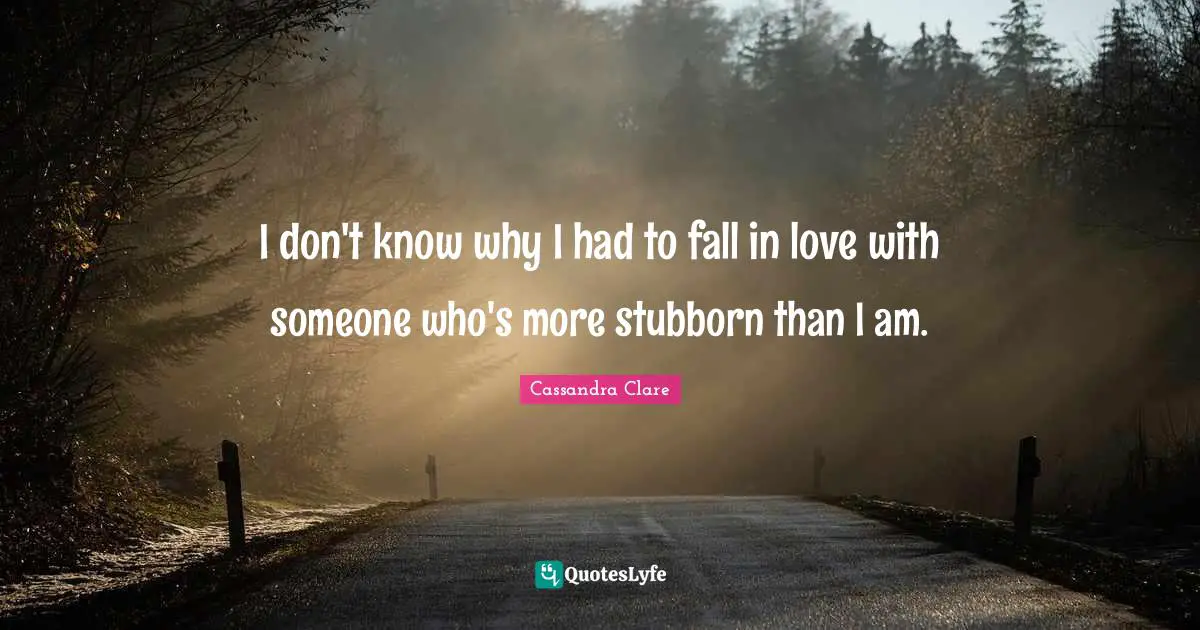I don't know why I had to fall in love with someone who's more stubborn than I am.