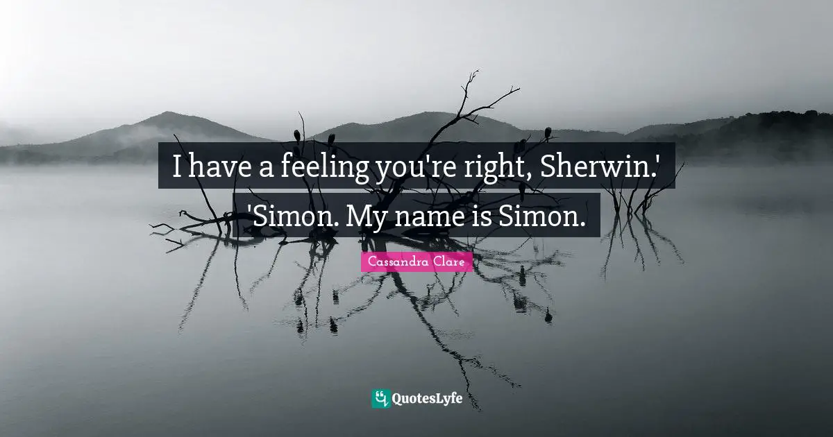 I have a feeling you're right, Sherwin.' 'Simon. My name is Simon.