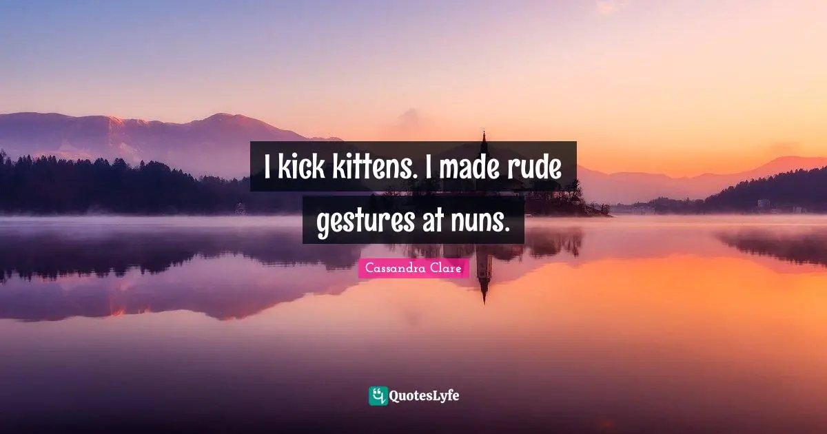 I kick kittens. I made rude gestures at nuns.