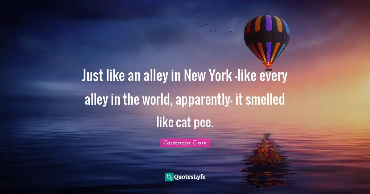Just like an alley in New York -like every alley in the world, apparently- it smelled like cat pee.