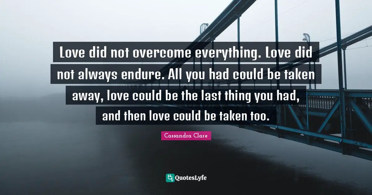 Love did not overcome everything. Love did not always endure. All you had could be taken away, love could be the last thing you had, and then love could be taken too.